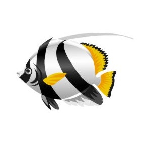 Longfin Bannerfish